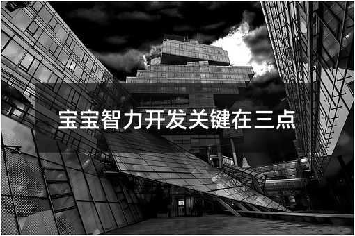 寶寶智力開(kāi)發(fā)關(guān)鍵在三點(diǎn)