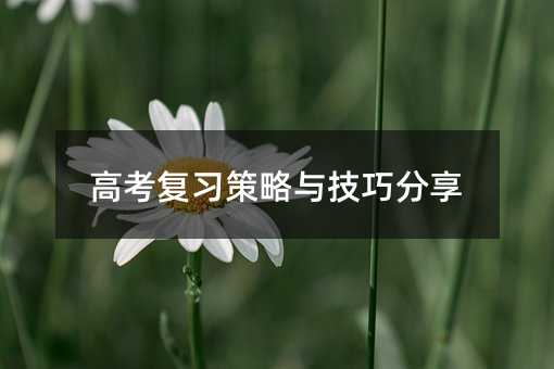 高考復習策略與技巧分享