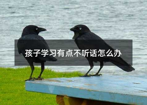 孩子學(xué)習(xí)有點(diǎn)不聽話怎么辦