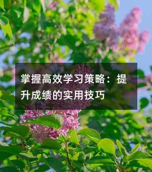 掌握高效學(xué)習(xí)策略:提升成績(jī)的實(shí)用技巧