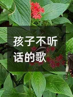 Ӳ Ԓĸ