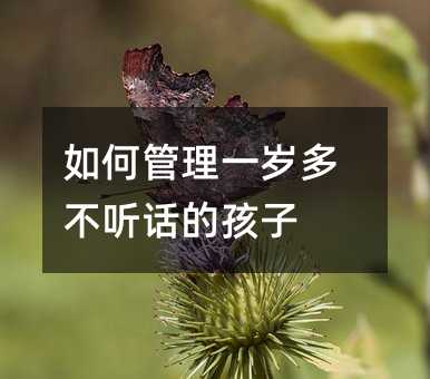 如何管理一歲多不聽話的孩子