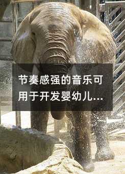節(jié)奏感強(qiáng)的音樂可用于開發(fā)嬰幼兒智力(親子音樂)
