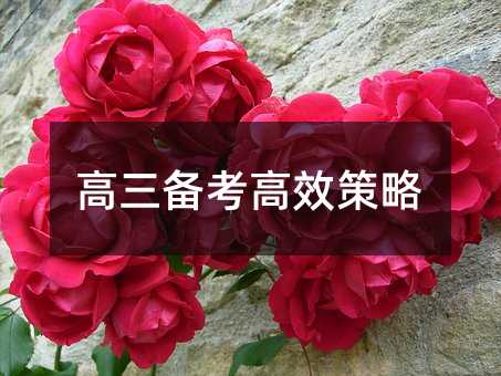俼Ч