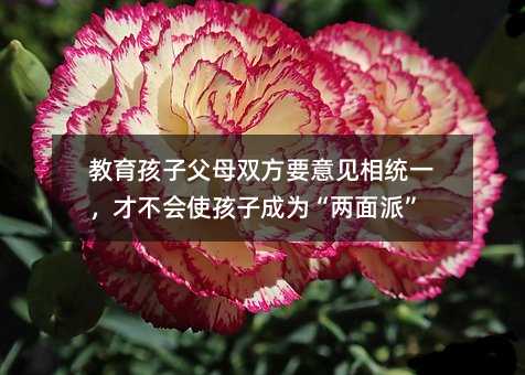 ӸĸpҪҊy(tng)һŲʹӳɞ顰ɡ