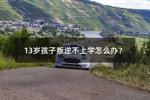 13歲孩子叛逆不上學(xué)怎么辦?