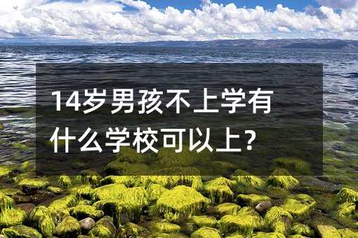 14歲男孩不上學有什么學校可以上?