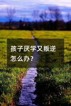 孩子厭學又叛逆怎么辦?