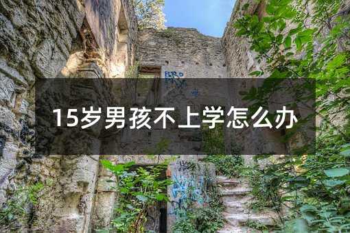 15歲男孩不上學怎么辦
