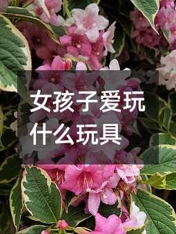 女孩子愛玩什么玩具