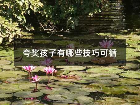夸獎孩子有哪些技巧可循