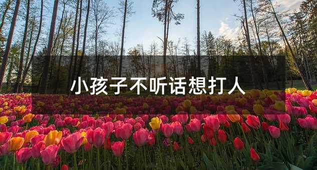 小孩子不聽話想打人