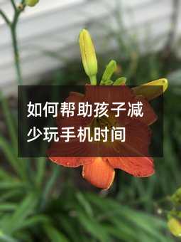 ΎӜp֙Crg
