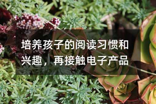 培養孩子的閱讀習慣和興趣,再接觸電子產品