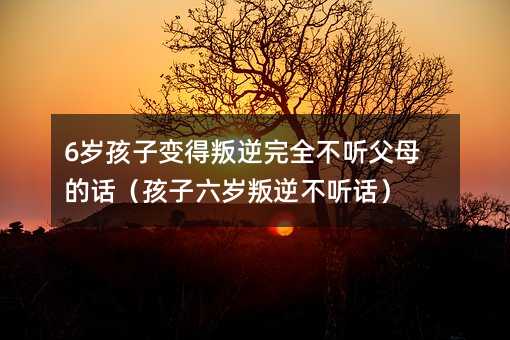 6q׃ȫ ĸԒq治 Ԓ