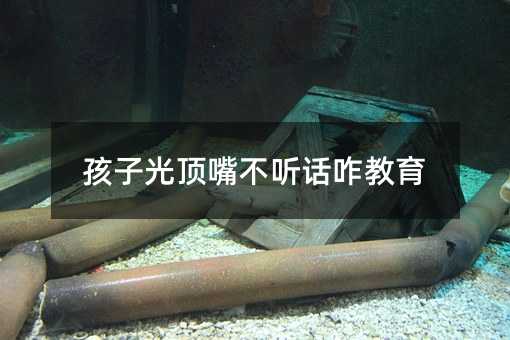 孩子光頂嘴不聽話咋教育