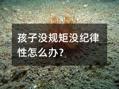 孩子沒規矩沒紀律性怎么辦?