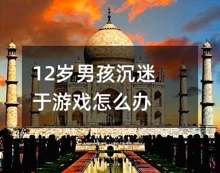 12歲男孩沉迷于游戲怎么辦