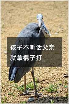 Ӳ ԒHùӴ_