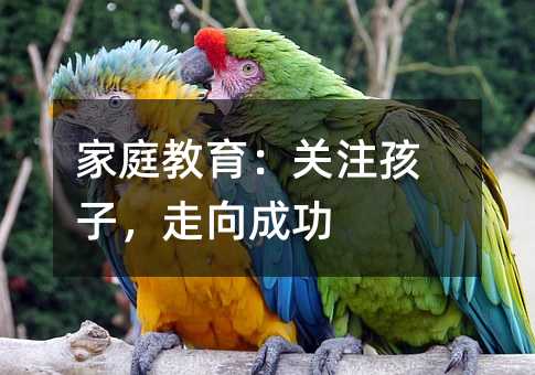 ͥPעӣɹ