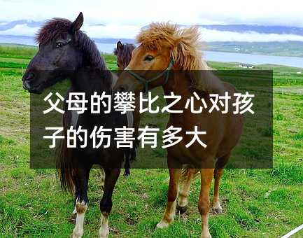 父母的攀比之心對(duì)孩子的傷害有多大