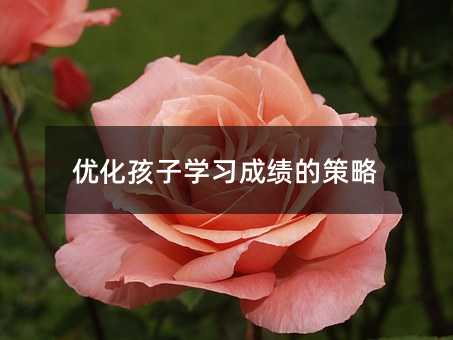 ӌWɿĲ