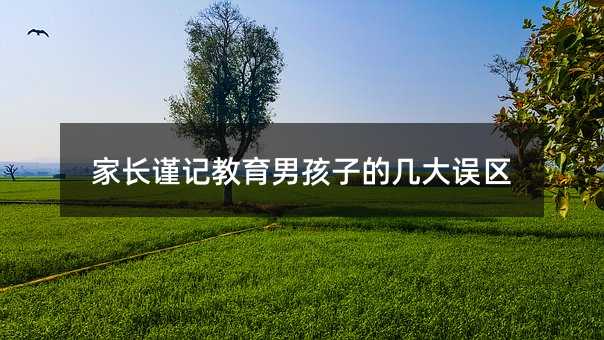 家長謹記教育男孩子的幾大誤區