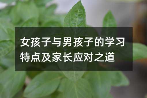 女孩子與男孩子的學習特點及家長應對之道
