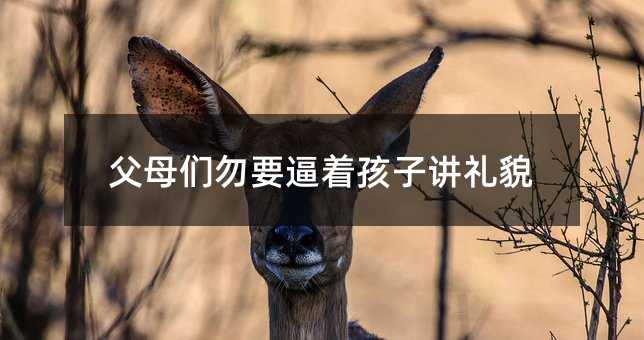 ĸҪvYò