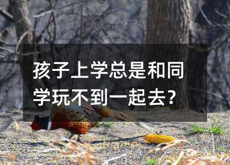 孩子上學總是和同學玩不到一起去?