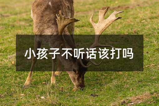 小孩子不聽話該打嗎