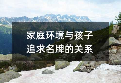 家庭環(huán)境與孩子追求名牌的關(guān)系