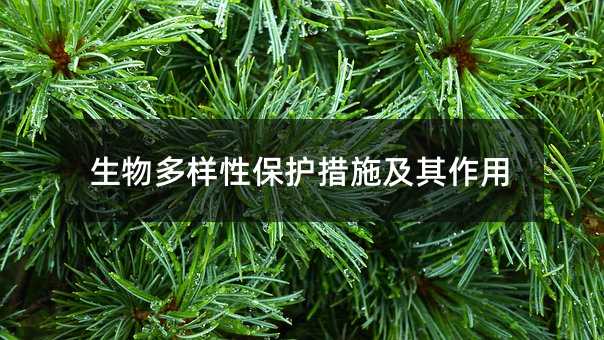 生物多樣性保護措施及其作用