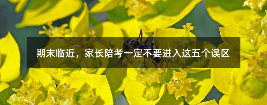 期末臨近,家長陪考一定不要進入這五個誤區
