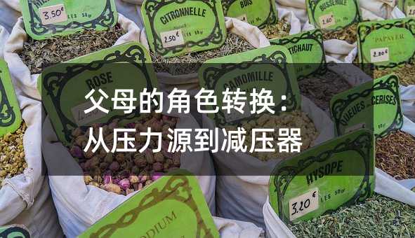 父母的角色轉(zhuǎn)換:從壓力源到減壓器