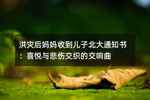 洪災后媽媽收到兒子北大通知書:喜悅與悲傷交織的交響曲