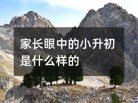 家長眼中的小升初是什么樣的