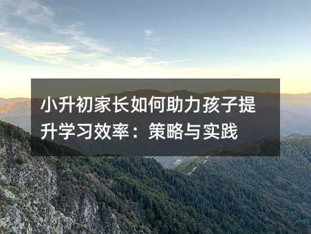 小升初家長如何助力孩子提升學習效率:策略與實踐
