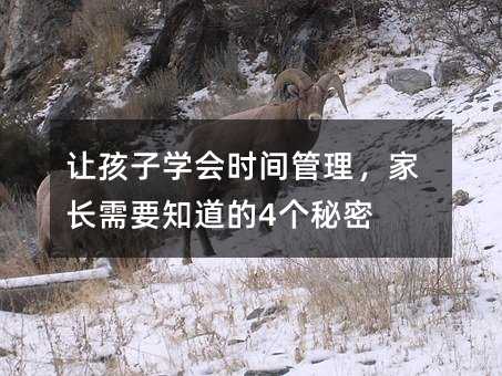 讓孩子學會時間管理,家長需要知道的4個秘密