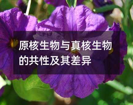 原核生物與真核生物的共性及其差異