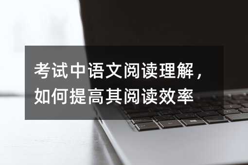 考試中語(yǔ)文閱讀理解,如何提高其閱讀效率
