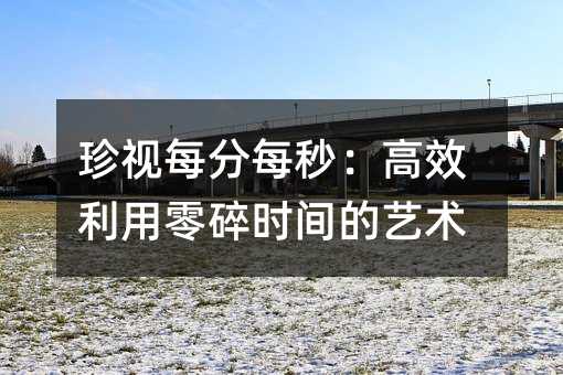 珍視每分每秒:高效利用零碎時間的藝術