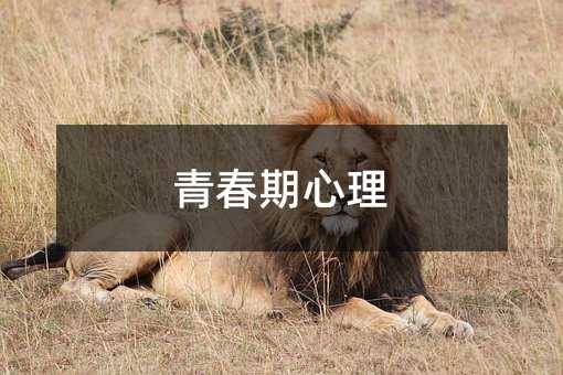青春期心理