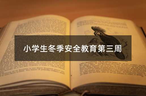 小學生冬季安全教育第三周