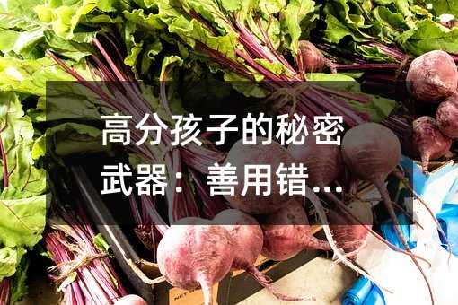 高分孩子的秘密武器:善用錯(cuò)題本