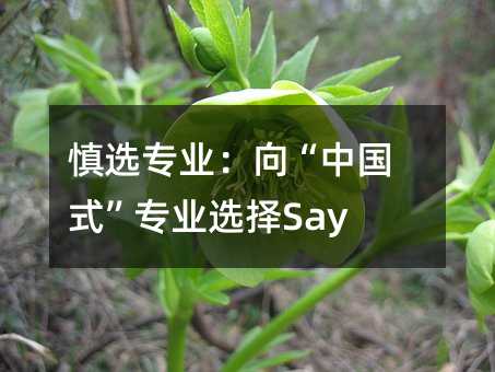 慎選專業(yè):向“中國式”專業(yè)選擇Say No