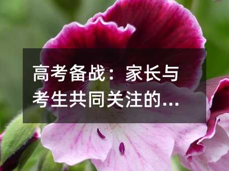 高考備戰(zhàn):家長與考生共同關注的重點