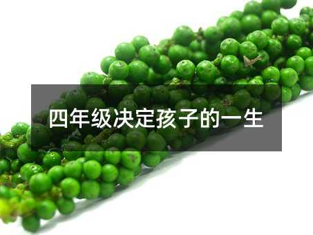 四年級決定孩子的一生