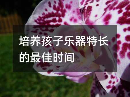 B(yng)ӘL(zhng)ѕr(sh)g