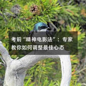 考前“精神電影法”:專家教你如何調(diào)整最佳心態(tài)